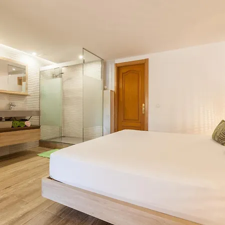 Apartment Loft In Cabrils